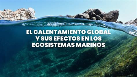 Los Oc Anos En Peligro El Calentamiento Global Y Sus Efectos En Los