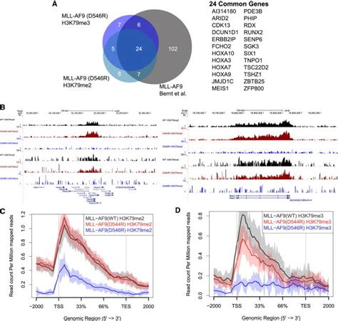 Mll Af9 D544r And Mll Af9 D546r Display Distinct Patterns Of Loss