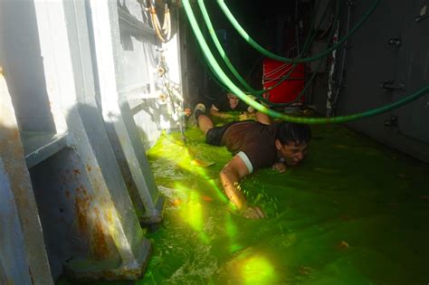 Dvids Images Shellback Ceremony Image 3 Of 5