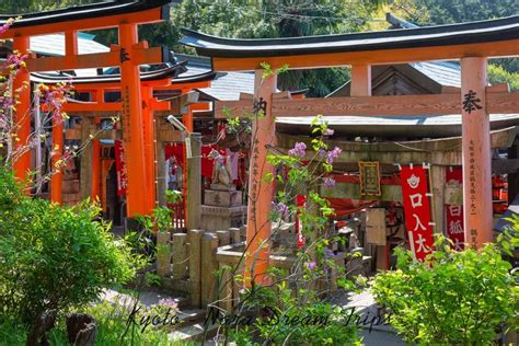 Fushimi Inari Taisha Climbing Mt Inari In Kyoto Japan Some