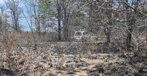 Encontraron En Guernica Dos Cuerpos Calcinados Adentro De Un Auto