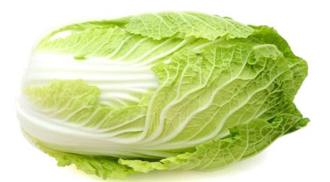 Health Benefits Of Napa Cabbage