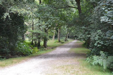 Tunbridge Wells Common © N Chadwick Cc By Sa20 Geograph Britain