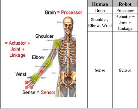 Figure 2 from The Design of humanoid Robot Arm based on Morphological ...