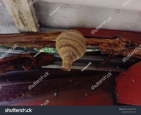 Beehive Hanging Roof House Stock Photo 2252461775 Shutterstock