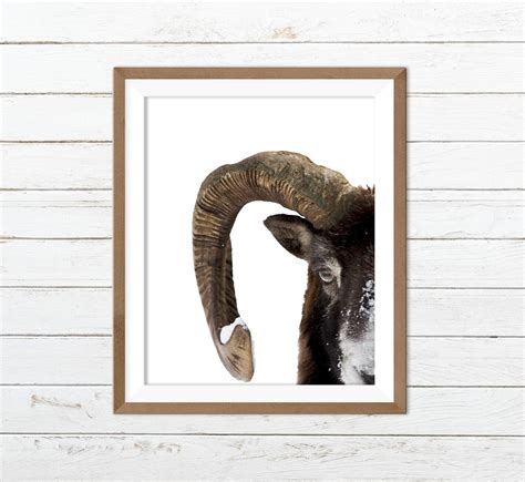 Big Horn Sheep Print Sheep Wall Art Sheep Print Sheep Etsy Uk