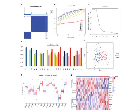 Identification Of Cuproptosis Related Molecular Clusters In Sle A