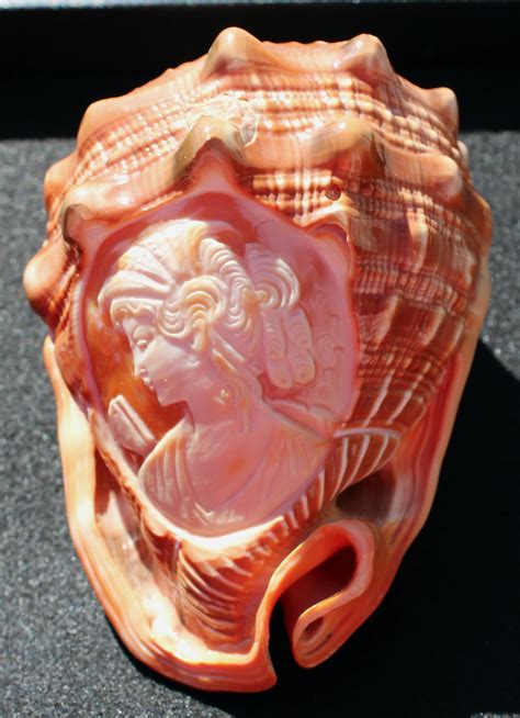 This Vintage Hand Carved Whole Cameo Conch Shell Is Beautifully Carved