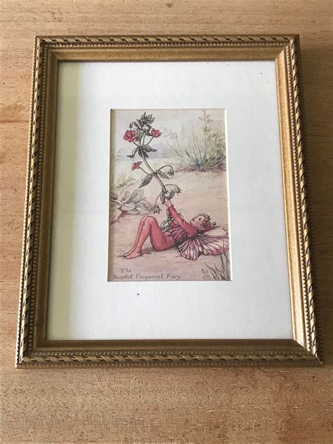 Vintage Fairy Cicely Mary Barker The Scarlet Pimpernel Etsy Vintage