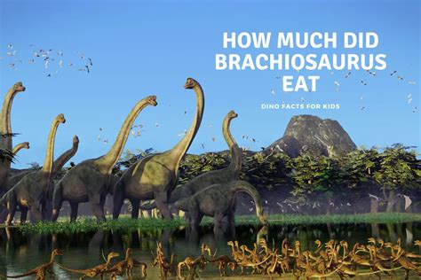 How Much Did Brachiosaurus Eat Dinosaur Facts For Kids