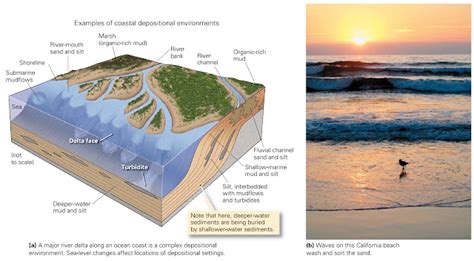 Recognizing Depositional Environments ~ Learning Geology