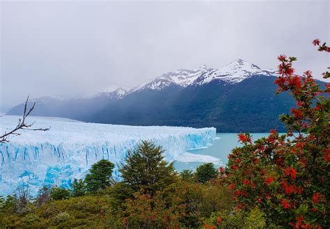 Perito Moreno Glacier, Patagonia, Argentina [OC] [3799 x 2639] : r
