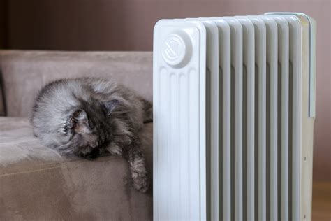 Quelle Est La Consommation Lectrique D Un Radiateur Bain D Huile