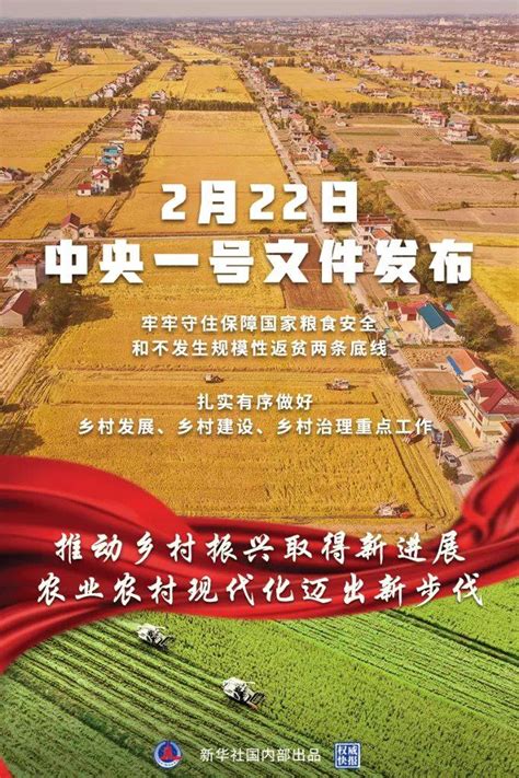 中共中央 国务院关于做好2022年全面推进乡村振兴重点工作的意见生产发展农业