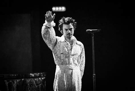 Harry Styles Frenó Su Concierto En Nueva York Por El Lanzamiento De Un Trozo De Pollo Al