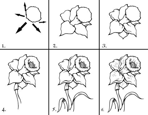 Flower Sketch Tutorial at PaintingValley.com | Explore collection of Flower Sketch Tutorial