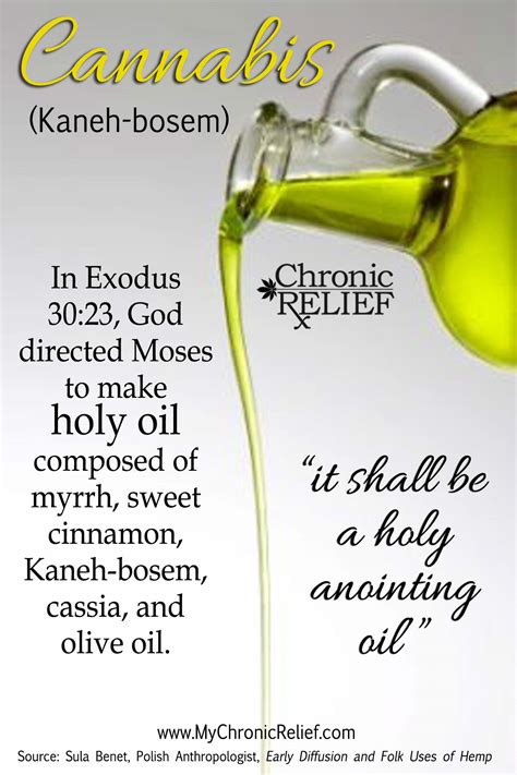 Cannabis Ingredient of Holy Anointing Oil - What is Medical Marijuana | Chronic Pain Relief ...