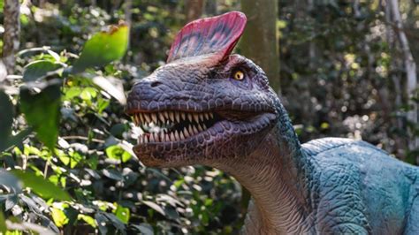 Regi O Maior Parque De Dinossauros Do Mundo A Terra Dos Dinos Abre