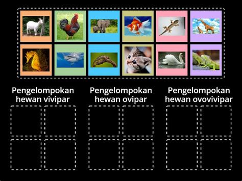 Pengelompokan Hewan Secara Ovipar Vivipar Ovovivipar Pengurutan Grup