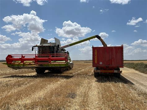 La Sequ A Deja En Arag N La Peor Cosecha De Cereal De Invierno De La