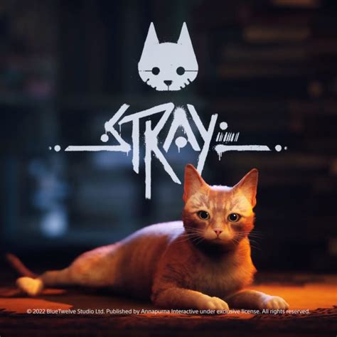 Where to Buy the Cheapest Copies Of Cat Adventure Game Stray - POPSUGAR ...