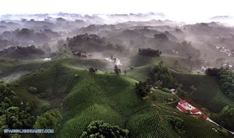 Henan Aldeas De La Ciudad De Xinyang El Mandarn