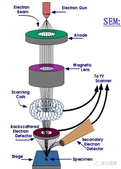 扫描电子显微镜（sem）—从基础出发、一切尽在掌握之中 哔哩哔哩