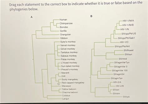 Solved Drag Each Statement To The Correct Box To Indicate Chegg