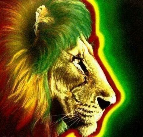 Pin By Stevie Bagley On Green Yellow Red Lion Of Judah Roots Reggae