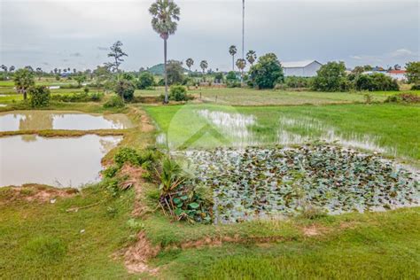 Hectare Land For Sale Kampong Speu Province Ips Cambodia