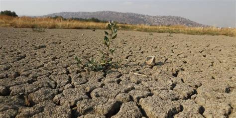 Cocapata Alista Declaratoria De Emergencia Por Sequía Más De 48