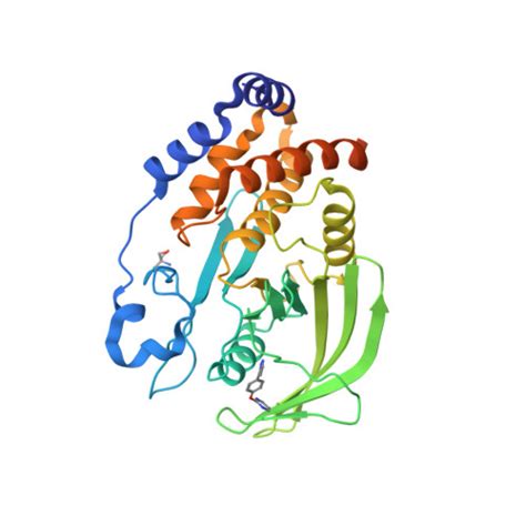 RCSB PDB 5QDM PanDDA Analysis Group Deposition Crystal Structure