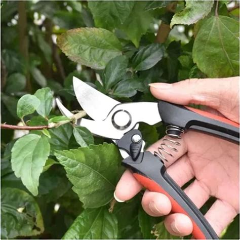 2Pcs Uning Shear Mini Sécateurs À Main De Jardin Extra Tranchants