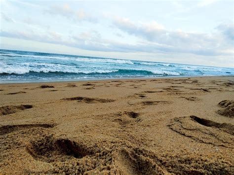 Bluff treasure beach 🌴 : Durban