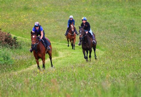 Sarah Hollinshead - National Racehorse Week