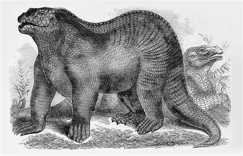 How Our Understanding Of Iguanodon Has Changed Over The Last 200 Years