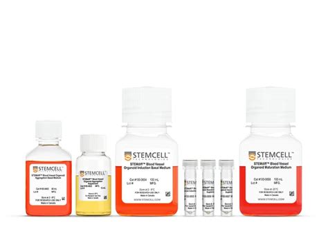 Stemcell Technologies Inc STEMdiff Blood Vessel Maturation Medium Size