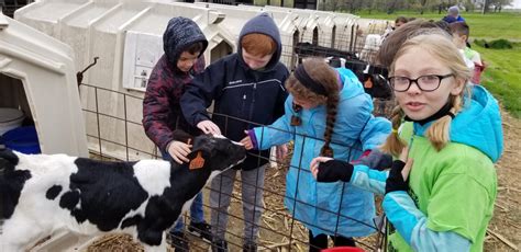 Dairy Farm Field Trips Lead to New Memories and Experiences - Discover ...