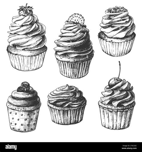 Hand Drawn Cupcakes Set Of Vintage Food Sketches Isolated On White