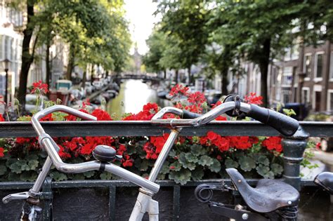 Amsterdam Un Itinerario In Bicicletta One Life In Travel