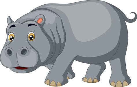 Cute Hippo Cartoon On White Background 9780854 Vector Art At Vecteezy