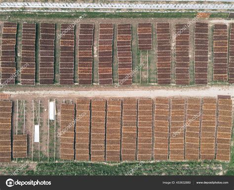 Aerial View Traditional Drying Tobacco Field Indonesia Stock Photo by ...