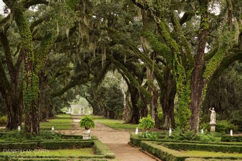 Rosedown Plantation :: St. Francisville Louisiana Family Photographer