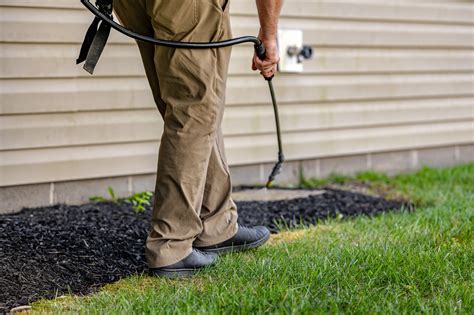 Get Ahead Of The Game The Benefits Of Pre Emergent Weed Control In Your Spring Lawn Care