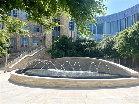 Tcu Sorority Finances