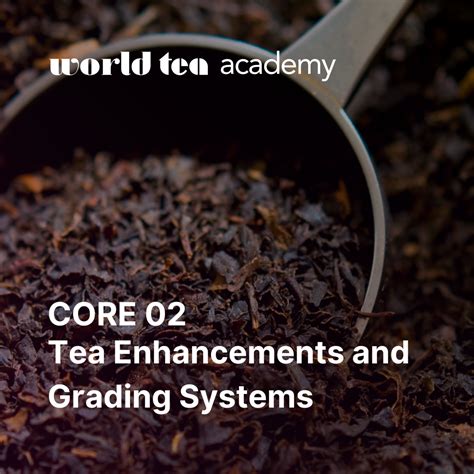 How To Become A Certified Tea Sommelier World Tea Academy