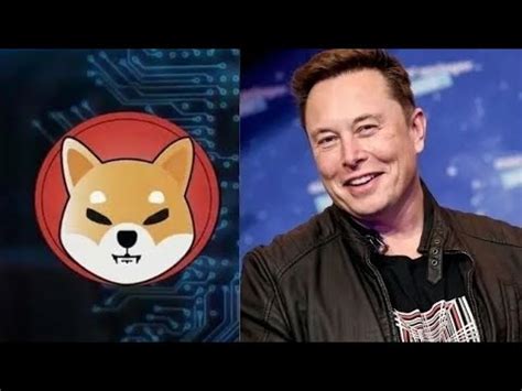 Elon Musk Twitea Sobre Shiba Inu Elon Musk Habla De Shiba Inu O Su