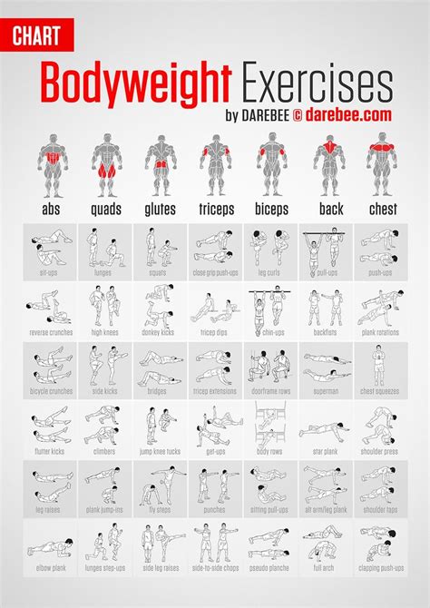 Muscle Gains Bodyweight Exercises Target Every Part Of Your Bo