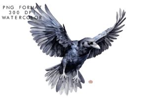 Watercolor Raven Sublimation Graphic By Watercolorbykr Creative Fabrica