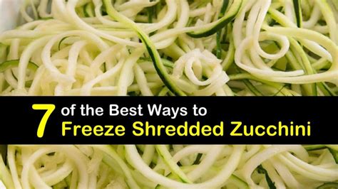 7 Of The Best Ways To Freeze Shredded Zucchini